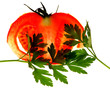 tomate