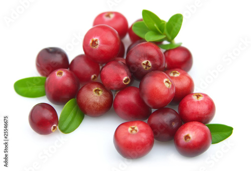 Foto: Ripe cranberry Ripe cranberry