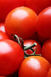 Photo: Cherry tomatoes Cherry tomatoes