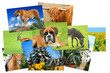 Fotogalerie 22 Fotogalerie 22