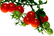 grappe