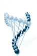 Molecule of DNA
