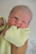 Newborn Baby 12