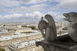 Vista panorámica París