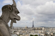 Vista Panorámica París