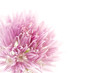 Floral design