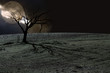 Color Halloween Landscape