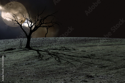 Photo: Color Halloween Landscape Color Halloween Landscape