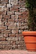 Tree in a flowerpot on brick wall background