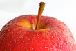Apfel