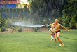 boys play water in garden boys play water in garden