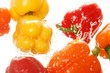 Red yellow and orange bell peppers splashing in water