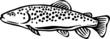 Brown Trout Vinyl Ready Vector Illustration