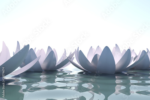Foto: Zen loto flowers in water Zen loto flowers in water