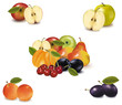 Photo-realistic vector. Big group of different fruit. Photo-realistic vector. Big group of different fruit.
