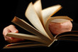 Open book in hands Open book in hands