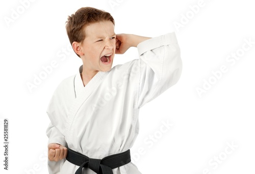 Photo: Karate stance Karate stance
