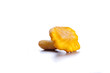 Isolated yellow chanterelle