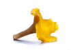 Isolated yellow chanterelle