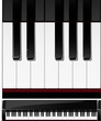 Vector series. set of piano keys in illustration