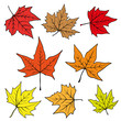 set of autumn leaves set of autumn leaves