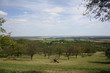 lac de la Madine