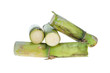 Stumps Of green Sugarcane On White Background Stumps Of green Sugarcane On White Background