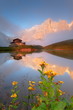 Dolomiti