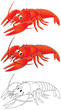 Crawfish