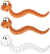 Worm