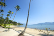 Paradise Brazilian Beach Paradise Brazilian Beach