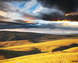 Prairie