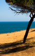 Beautiful landscape with the seaside, Algarve Portugal Beautiful landscape with the seaside, Algarve Portugal