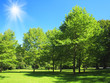 Park