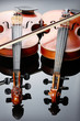 Two violins on dark background Two violins on dark background