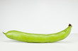 Broadbean
