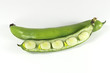 Broad Bean V2