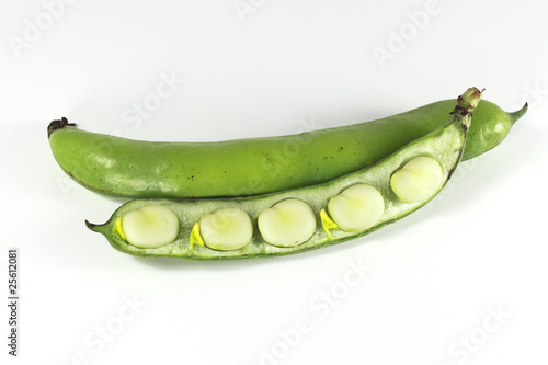 Photo: Broad Bean V2 Broad Bean V2