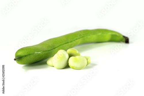Photo: Broad Bean V3 Broad Bean V3