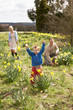 Family On Easter Egg Hunt In Daffodil Field Family On Easter Egg Hunt In Daffodil Field