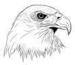 Vector: Eagle in the form of a tattoo Eagle in the form of a tattoo