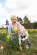 Family On Easter Egg Hunt In Daffodil Field Family On Easter Egg Hunt In Daffodil Field