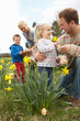 Family On Easter Egg Hunt In Daffodil Field Family On Easter Egg Hunt In Daffodil Field