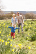 Young Family Walking Amongst Spring Daffodils Young Family Walking Amongst Spring Daffodils