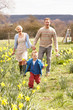 Foto: Young Family Walking Amongst Spring Daffodils Young Family Walking Amongst Spring Daffodils