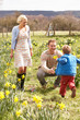 Young Family Walking Amongst Spring Daffodils Young Family Walking Amongst Spring Daffodils