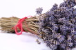 Bunch of dried lavender tied with a red string on white Bunch of dried lavender tied with a red string on white