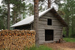 Log shed with firewood in forest. Log shed with firewood in forest.