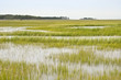 Wetland Conservation Wetland Conservation
