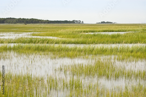 Photo: Wetland Conservation Wetland Conservation